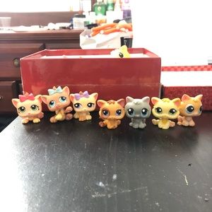 Littlest pet shop ( cats )